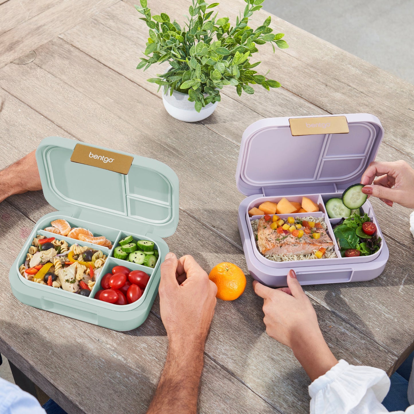 bentgo-modern-lunch-box-2-pack-d1 COSTCOBMCPRODUCTIMAGE_2.jpg